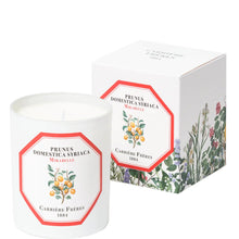 Carrire Frres Scented Candle Mirabelle - Prunus Domestica Syriaca - 185 g