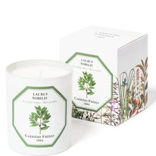 Carrière Frères Scented Candle Bay Laurel - Laurus Nobilis - 185 g