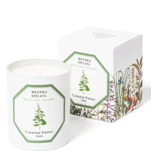 Carrière Frères Scented Candle Spearmint - Mentha Spicata - 185 g