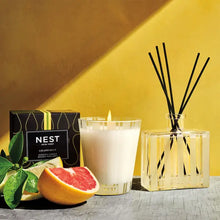 NEST New York Amalfi Lemon and Mint Classic Candle 230g