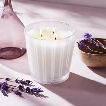 NEST New York Cedar Leaf and Lavender 3-Wick Candle 600g