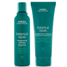 Aveda Botanical Repair Shampoo and Conditioner Duo