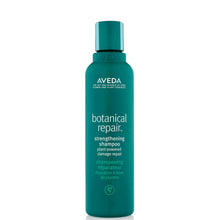 Aveda Botanical Repair Shampoo and Conditioner Duo