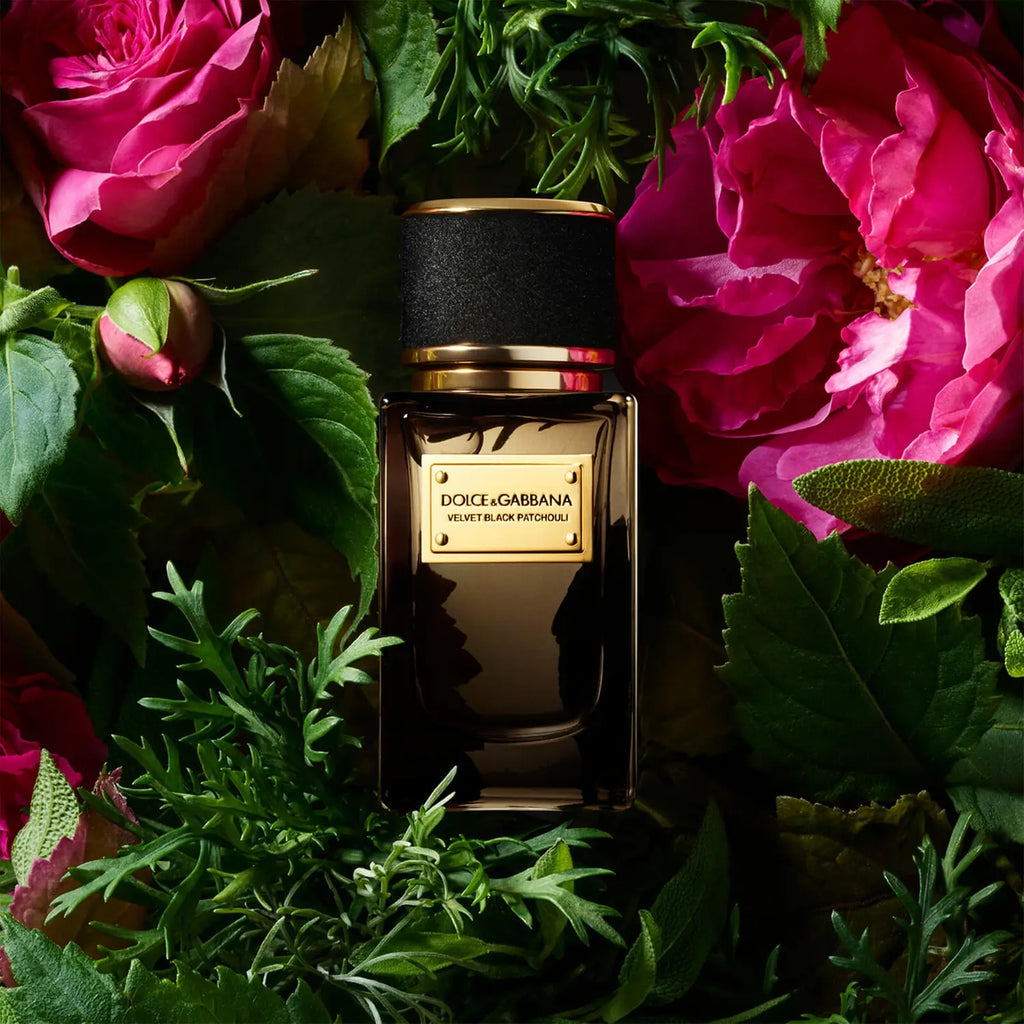 Dolce&Gabbana Velvet Black Patchouli Eau de Parfum - 50ml– buyinstor