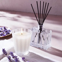 NEST New York Cedar Leaf Lavender Reed Diffuser 175ml