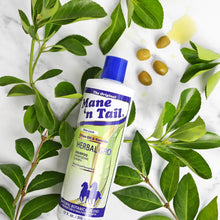 Mane 'n Tail Herbal Gro Shampoo 355ml