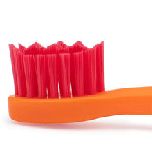 Spotlight Oral Care Limited Edition Pride Sonic Toothbrush