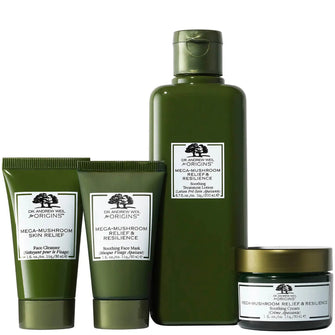 Origins Skin Fortifying Delights Set (Worth £82.40)