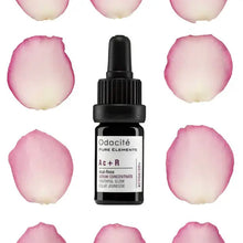 Odacité Youthful Glow Serum Concentrate (Acai + Rose)