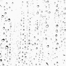 DISCIPLE Skincare Balancing Mist (Various Sizes)