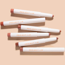 Project Lip Plump and Fill Lip Liner 1.7g (Various Shades)