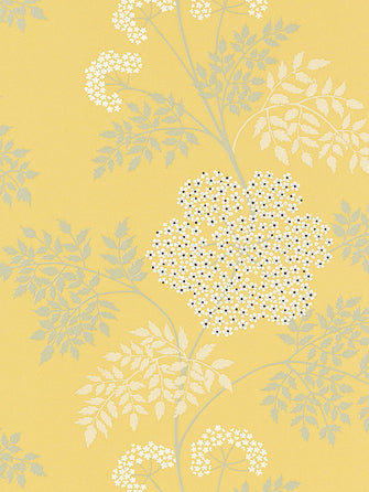 Sanderson Cow Parsley Wallpaper, DOPWCO105, Chinese Yellow