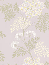 Sanderson Cow Parsley Wallpaper, DOPWCO103, Amethyst