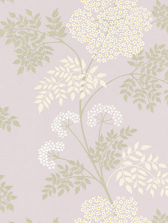 Sanderson Cow Parsley Wallpaper, DOPWCO103, Amethyst