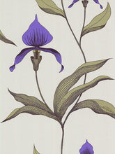 Cole & Son Orchid Wallpaper, Violet, 66/4024