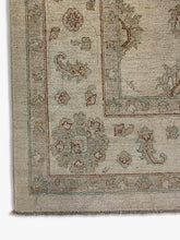 Gooch Oriental Ziegler Rug, Green, L300 x W204 cm