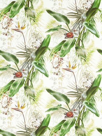 Zoffany Paradise Row Wallpaper by the Metre, ZHIW312989