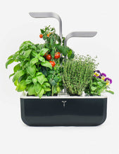 Smart Garden indoor planter