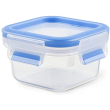 Tefal Masterseal Fresh Storage Container, 0.25 Liter