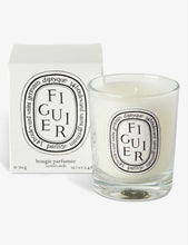 Figuier mini scented candle