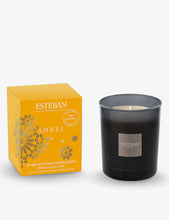 Ambre scented candle 170g