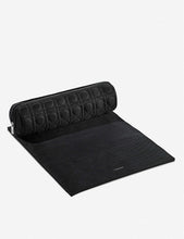 Styler carry case and heat mat