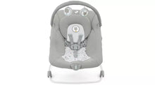 Joie Wish Baby Bouncer