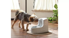 PetSafe Drinkwell Mini Pet Fountain