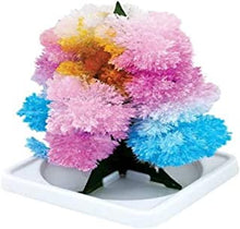 Tobar Magic Tree Crystal Growing Activity Set