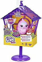 Little Live Pets 26281 Lil House, Playset & Interactive, Animated Electronic Bird, Sounds, Record & Playback, Sings, Head Turns-as seen on TV