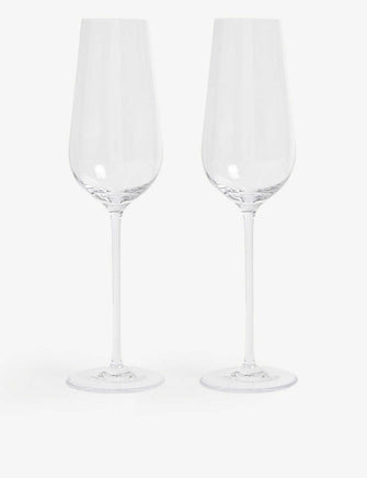 Globe champagne flutes set of two