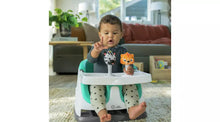 Baby Einstein Dine And Discover Booster Seat