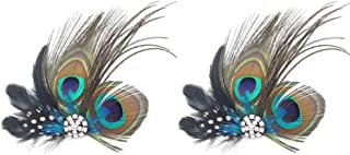 Dusenly 2pcs Fashion Peacock Feather Hair Clip Hair Pins Evening Dress Headdress Wedding Feather Fascinator for Women and Girls