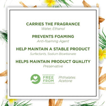 Botanica by Air Wick Room Spray Caribbean Vetiver and Sandalwood, 236 ml (Pack of 4)