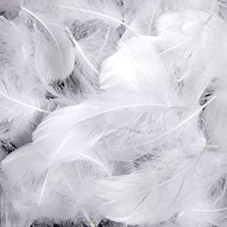 Totofy 600 Pieces White Feathers for Crafts,Feather Decorations Dreamcatcher Earrings Craft Festival Goose Feathers