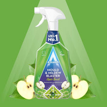 Astonish Mould and Mildew Blaster