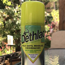 Dethlac TVS001 250 ml Insecticidal Lacquer (Kills Insects such as Ants, Woodlice and Cockroaches, Surface Spray for Homes and Gardens, Remains Effective for Months)