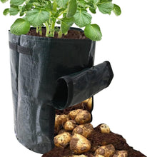 Ram 4 Pack 7 Gallon Potato Grow Bag set. Garden Plant Bags for potatoes, carrots, tomatoes, cucumbers and other Vegetables. Made in Green Polyethylene Complete