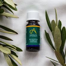 Absolute Aromas Eucalyptus Essential Oil 10ml - 100% Pure, Natural and Undiluted - an Antiseptic and Antibacterial Oil to Soothe and Clear - for use in Diffusers and Aromatherapy