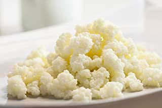 10g of Kombuchaorganic® Live Certified Organic RAW Milk KEFIR Grains - Grass Fed Cow's Milk Kefir Grains