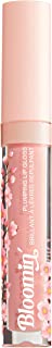 wet n wild, Plumping Lip Gloss Blooming Collection, Lip Plumper for a High-Shine Finish, with Plumping Agents MAXI lip, Instaplump, Vitamin E, Peppermint Oil and Cherry Blossom Extract, Baby Bloomer