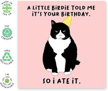 Central 23 - Humorous Birthday Card - Happy Birthday for Friends  Funny Design  Cat Birthday Card  Comes with Fun Stickers