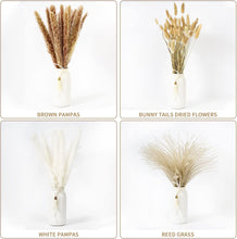 75Pcs Pampas Grass Boho Home Decor, Natural Dried Carefully Hand-Picked Fluffy Pompas Grass 17", White & Brown Pampas Grass, Reed, Bunny Tails for Flower Arrangements Boho Wedding Home Dcor