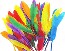 Kids B Crafty Craft Feathers, Quill Feathers, Assorted Colours, 40pcs x 14cm, Art, Crafts, Collage, Fly Fishing Dress Up Hats