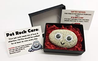 Pet Rock - Novelty Gift Idea - Ideal For Birthday Presents, Wedding Favours, Party Bags etc