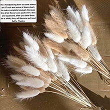 VELAFEE 60pcs (Mix Natural) Lagurus Bunny Tails Pampas Grass Decor for Home Decor 45cm-17.7inches, Rabbit Tails Dried Flowers Bouquet, Best for Boho Decor, Table Decoration, Bedroom Decor