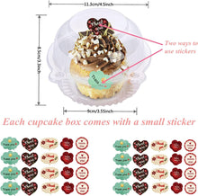 Surflyee 50 Pieces Clear Cupcake Boxes, Single Cupcake Boxes, 4.5 Inch Individual Cupcake Box for Cupcakes, Large Muffin, Salad, Cheese, Suitable for Home Baking, Party, Wedding, Cake Shop