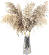 Fadun 20 Pcs Pampas Grass Large, 23 Inch Tall of Natural Dried Artificial Pampas Grass Decor, Fluffy Reed Bouquet, Used for Wedding and Boho Home Decoration Dried Flowers(Gray)