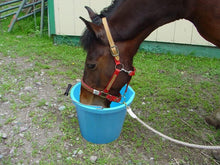 Set of 3- Plastic Builders Bucket 3 Gallon 14 Litre Water Mixing Storage Strong with Measuring Guide, Handle And Spout (Yellow, Blue, Black)