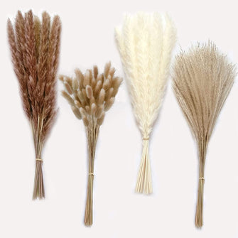 75Pcs Pampas Grass Boho Home Decor, Natural Dried Carefully Hand-Picked Fluffy Pompas Grass 17", White & Brown Pampas Grass, Reed, Bunny Tails for Flower Arrangements Boho Wedding Home Dcor